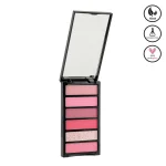 پالت سایه 6 در 1